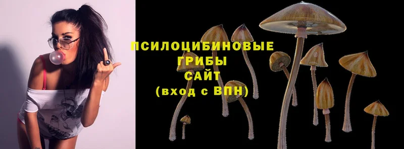 Псилоцибиновые грибы Magic Shrooms Краснокаменск